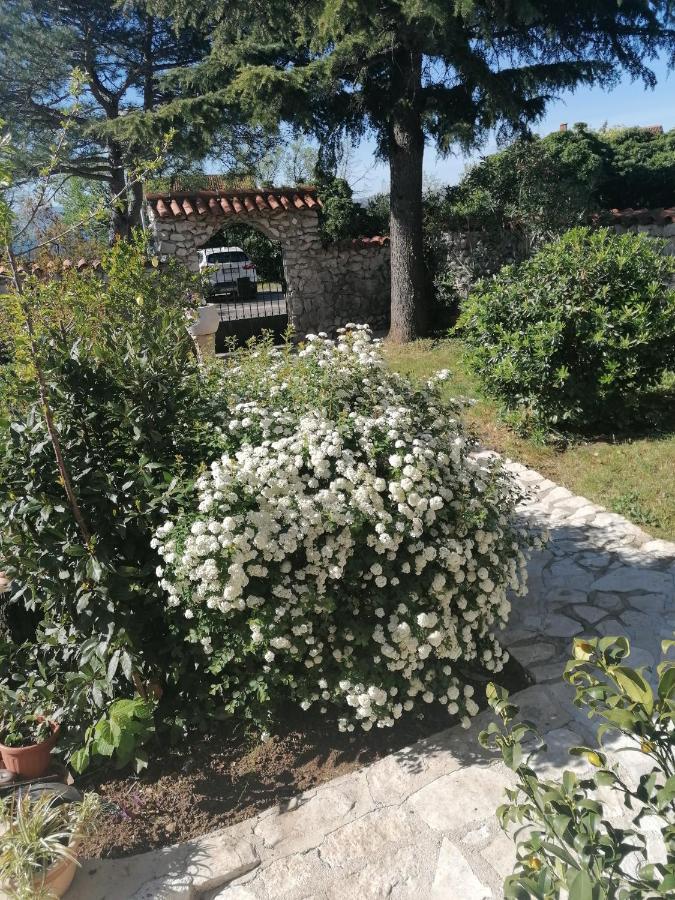 Ferienwohnung Rea Crikvenica Exterior foto